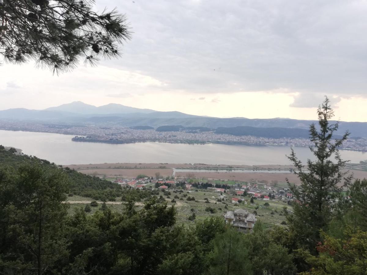 House With View In Amfithea Apartment Ioannina